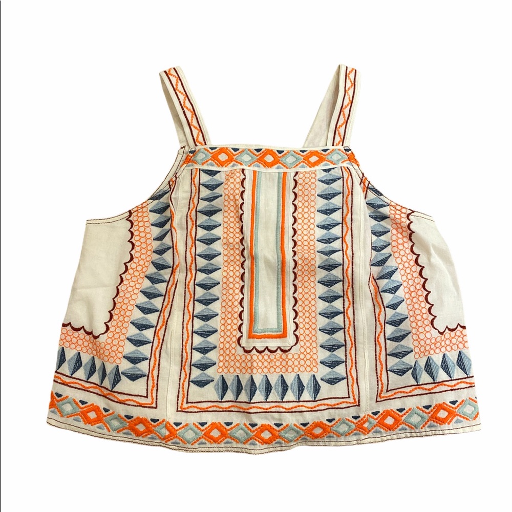 Anthropology geometric tank